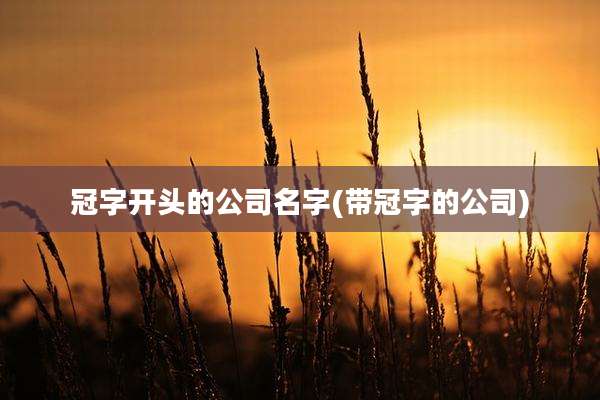 冠字开头的公司名字(带冠字的公司)