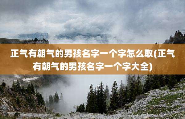 正气有朝气的男孩名字一个字怎么取(正气有朝气的男孩名字一个字大全)