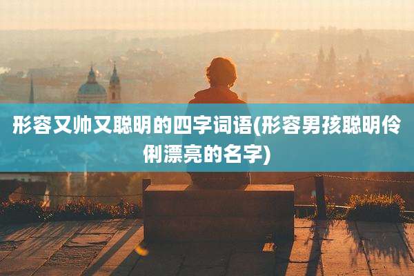 形容又帅又聪明的四字词语(形容男孩聪明伶俐漂亮的名字)