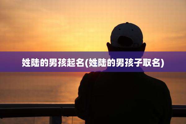 姓陆的男孩起名(姓陆的男孩子取名)
