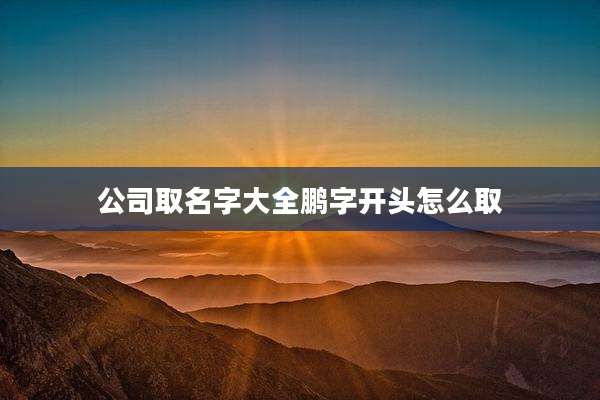 公司取名字大全鹏字开头怎么取