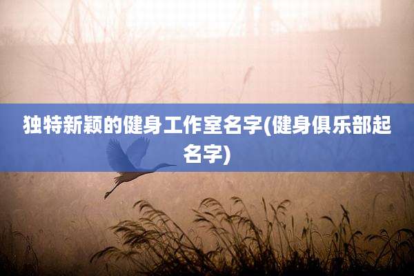 独特新颖的健身工作室名字(健身俱乐部起名字)