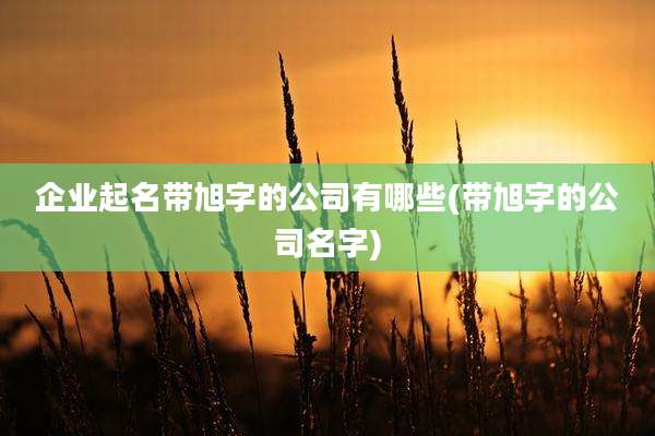 企业起名带旭字的公司有哪些(带旭字的公司名字)