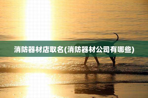 消防器材店取名(消防器材公司有哪些)