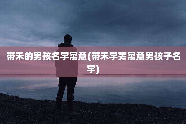 带禾的男孩名字寓意(带禾字旁寓意男孩子名字)