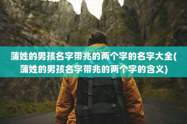 蒲姓的男孩名字带兆的两个字的名字大全(蒲姓的男孩名字带兆的两个字的含义)