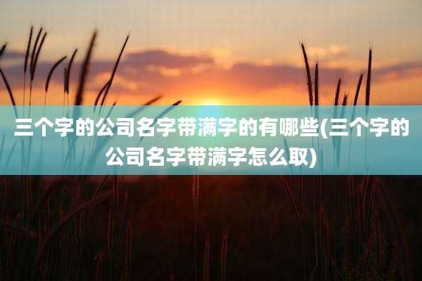 三个字的公司名字带满字的有哪些(三个字的公司名字带满字怎么取)