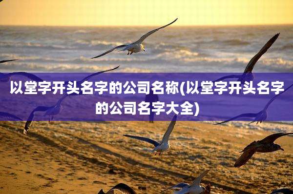 以堂字开头名字的公司名称(以堂字开头名字的公司名字大全)
