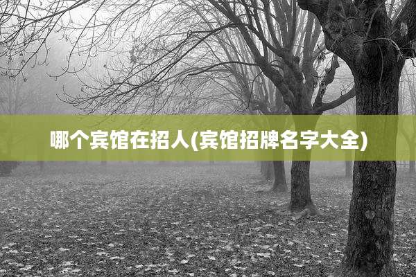 哪个宾馆在招人(宾馆招牌名字大全)