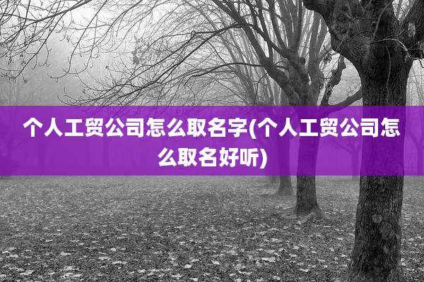个人工贸公司怎么取名字(个人工贸公司怎么取名好听)