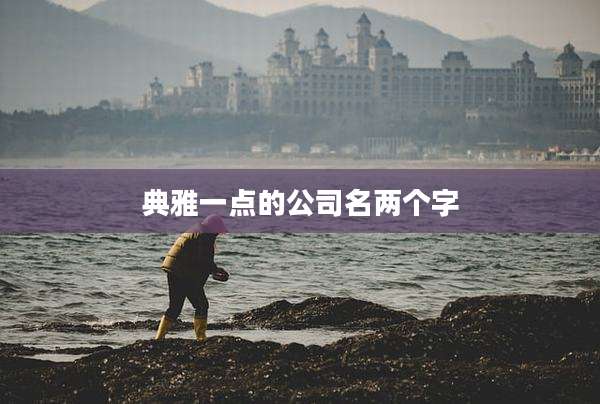 典雅一点的公司名两个字