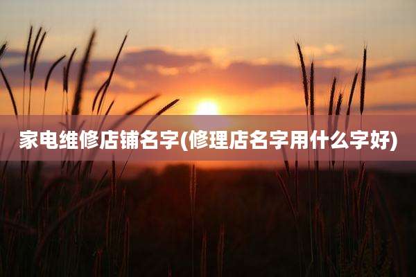 家电维修店铺名字(修理店名字用什么字好)