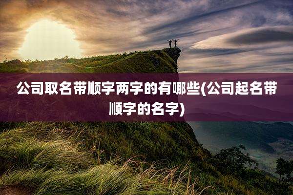 公司取名带顺字两字的有哪些(公司起名带顺字的名字)
