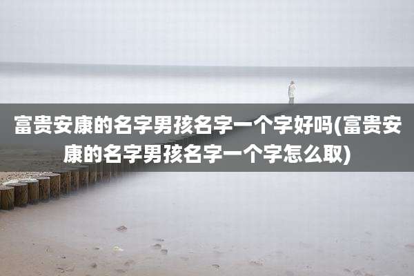 富贵安康的名字男孩名字一个字好吗(富贵安康的名字男孩名字一个字怎么取)