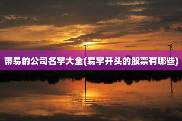 带易的公司名字大全(易字开头的股票有哪些)
