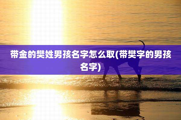 带金的樊姓男孩名字怎么取(带樊字的男孩名字)