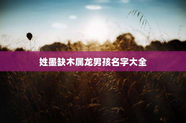 姓墨缺木属龙男孩名字大全