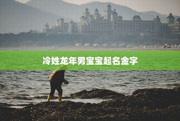 冷姓龙年男宝宝起名金字