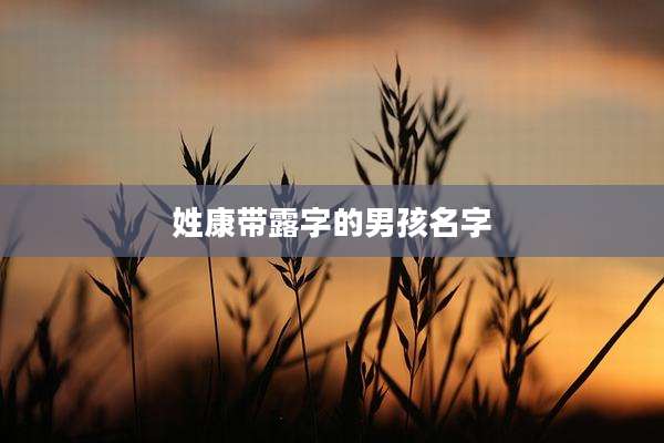 姓康带露字的男孩名字