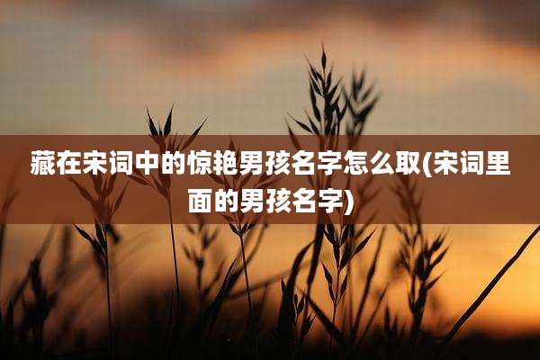 藏在宋词中的惊艳男孩名字怎么取(宋词里面的男孩名字)