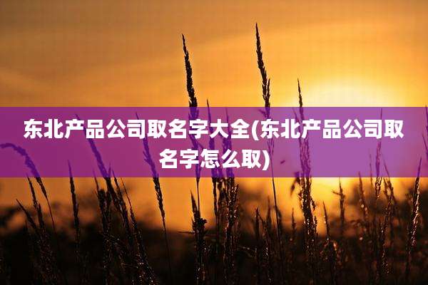东北产品公司取名字大全(东北产品公司取名字怎么取)