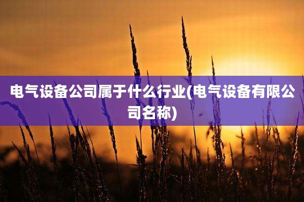 电气设备公司属于什么行业(电气设备有限公司名称)