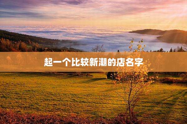 起一个比较新潮的店名字