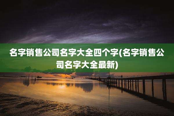名字销售公司名字大全四个字(名字销售公司名字大全最新)