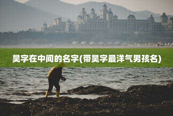 昊字在中间的名字(带昊字最洋气男孩名)
