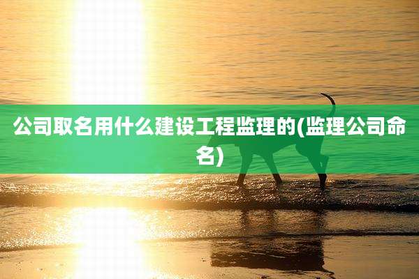 公司取名用什么建设工程监理的(监理公司命名)