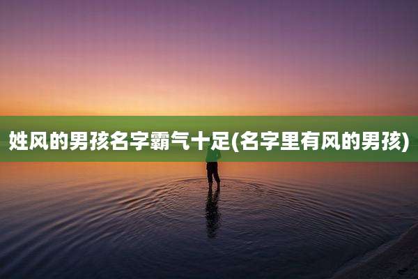 姓风的男孩名字霸气十足(名字里有风的男孩)