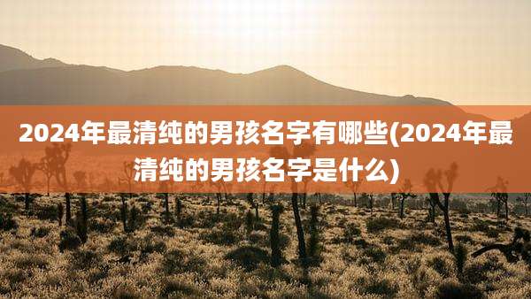 2024年最清纯的男孩名字有哪些(2024年最清纯的男孩名字是什么)