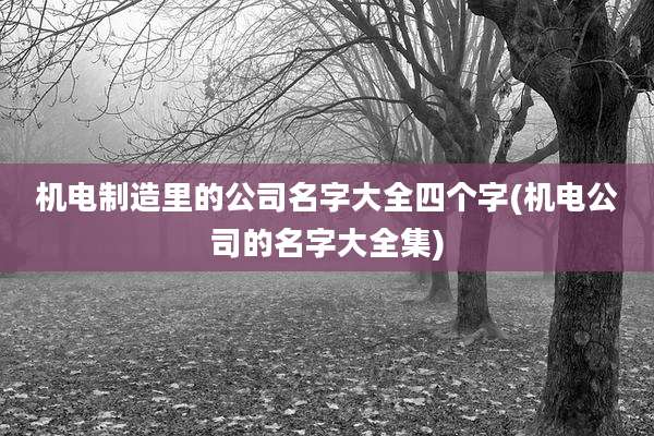 机电制造里的公司名字大全四个字(机电公司的名字大全集)