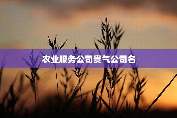农业服务公司贵气公司名