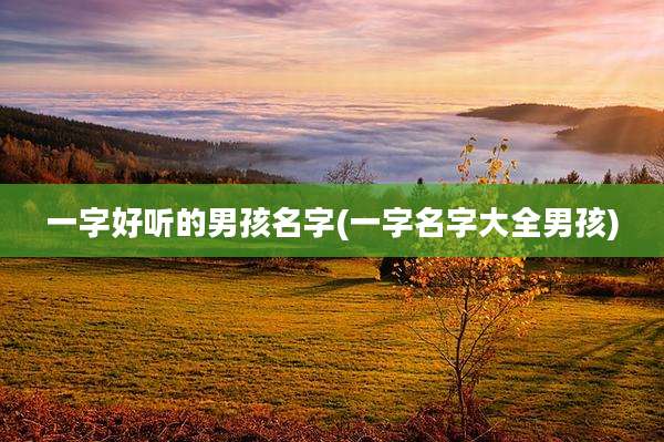 一字好听的男孩名字(一字名字大全男孩)