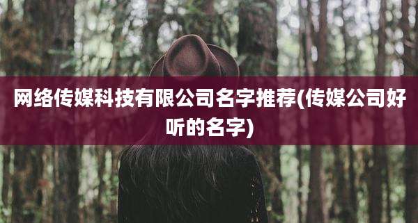 网络传媒科技有限公司名字推荐(传媒公司好听的名字)