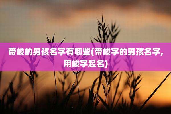 带峻的男孩名字有哪些(带峻字的男孩名字,用峻字起名)