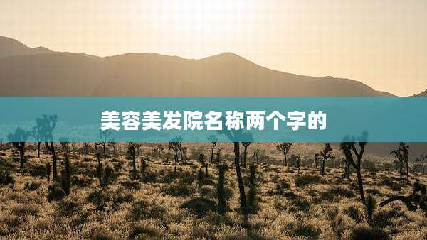 美容美发院名称两个字的