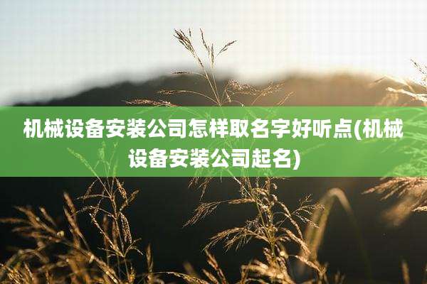 机械设备安装公司怎样取名字好听点(机械设备安装公司起名)