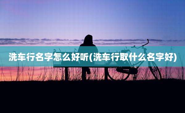 洗车行名字怎么好听(洗车行取什么名字好)