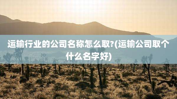 运输行业的公司名称怎么取?(运输公司取个什么名字好)