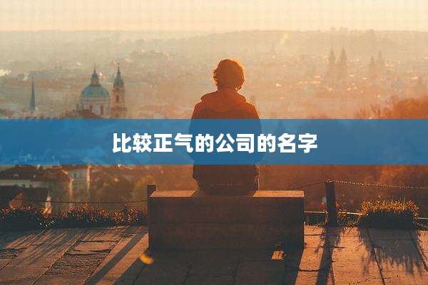 比较正气的公司的名字