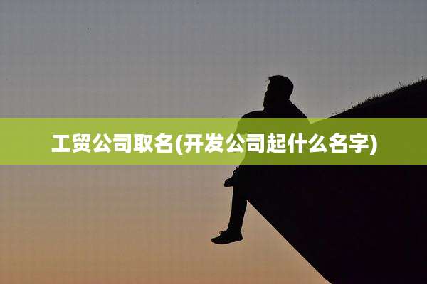 工贸公司取名(开发公司起什么名字)