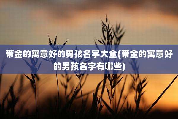 带金的寓意好的男孩名字大全(带金的寓意好的男孩名字有哪些)