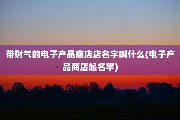 带财气的电子产品商店店名字叫什么(电子产品商店起名字)
