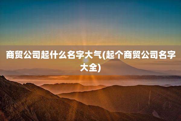 商贸公司起什么名字大气(起个商贸公司名字大全)