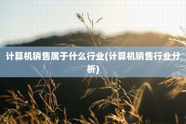计算机销售属于什么行业(计算机销售行业分析)