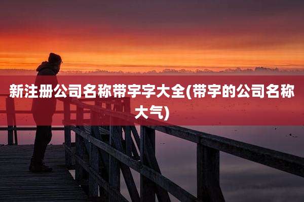 新注册公司名称带宇字大全(带宇的公司名称大气)