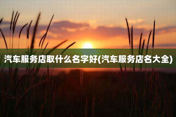 汽车服务店取什么名字好(汽车服务店名大全)