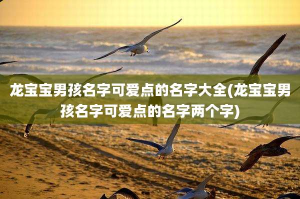 龙宝宝男孩名字可爱点的名字大全(龙宝宝男孩名字可爱点的名字两个字)